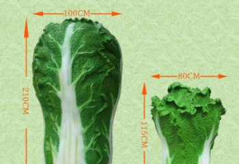 白菜雕塑廠家，仿真白菜雕塑，玻璃鋼蔬菜彩繪雕塑