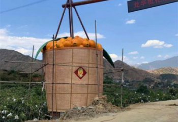 枇杷雕塑廠家，廣場(chǎng)水果雕塑，大型玻璃鋼枇杷雕塑廠家