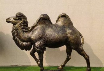 駱駝雕塑廠家，公園動物小品，玻璃鋼仿真駱駝雕塑廠