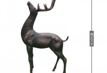 銅小鹿雕塑標(biāo)準(zhǔn)，景觀雕塑，小鹿銅雕塑提供